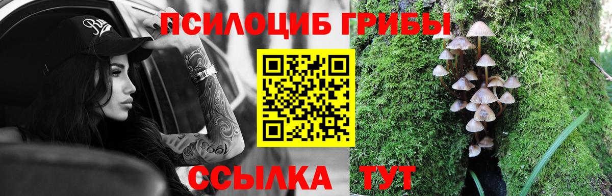 Псилоцибиновые грибы GOLDEN TEACHER Георгиевск