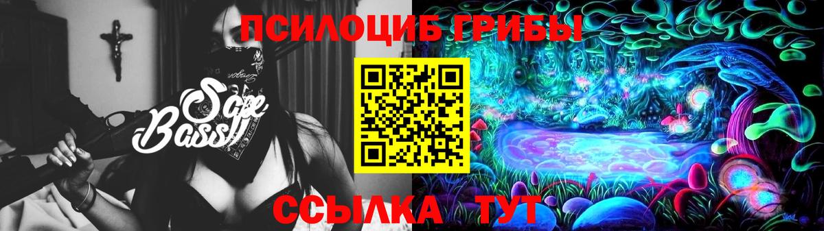 Георгиевск  Псилоцибиновые грибы мицелий  Вход с VPN 